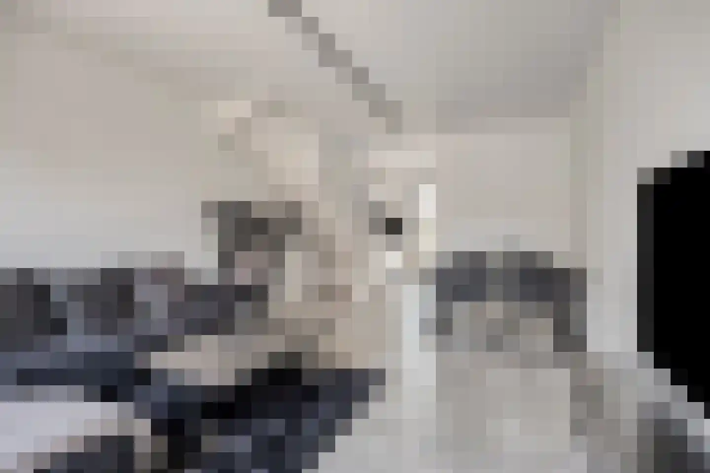 Cleijenakker 19 Veghel thumbnail 12