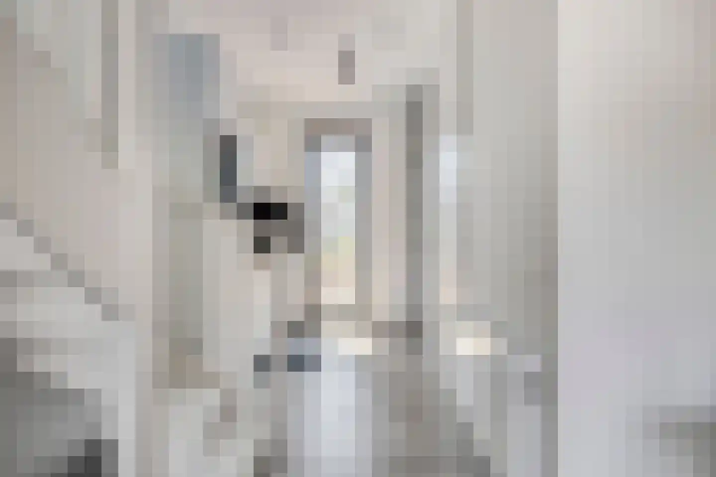 Cleijenakker 19 Veghel thumbnail 14