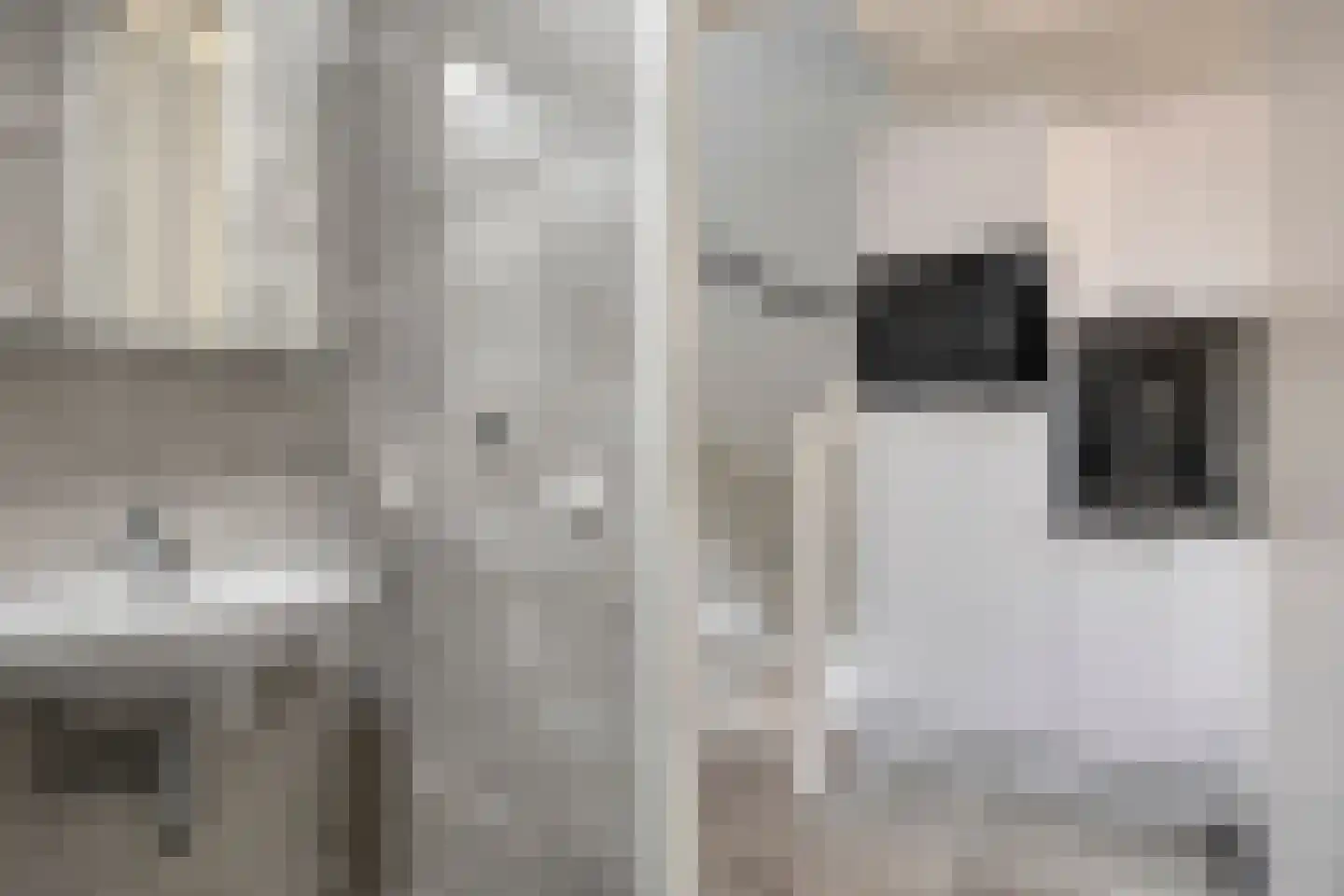 Cleijenakker 19 Veghel thumbnail 17