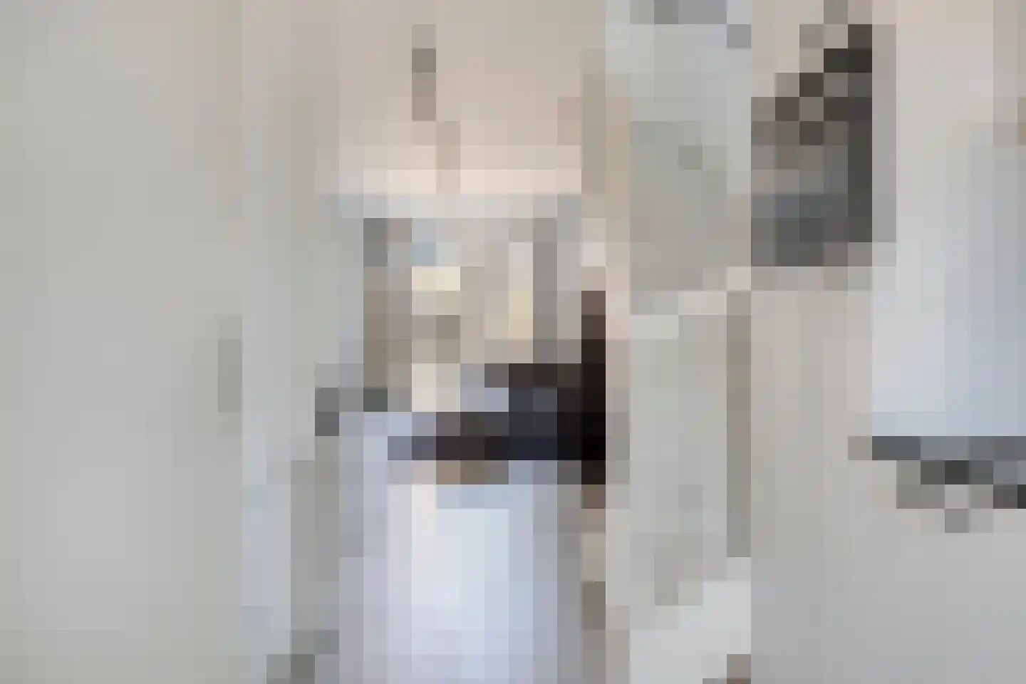 Cleijenakker 19 Veghel thumbnail 8