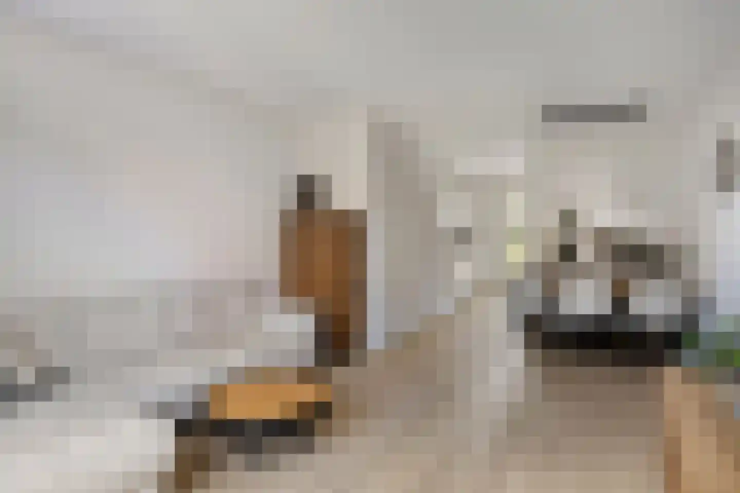 Cleijenakker 23 Veghel thumbnail 15
