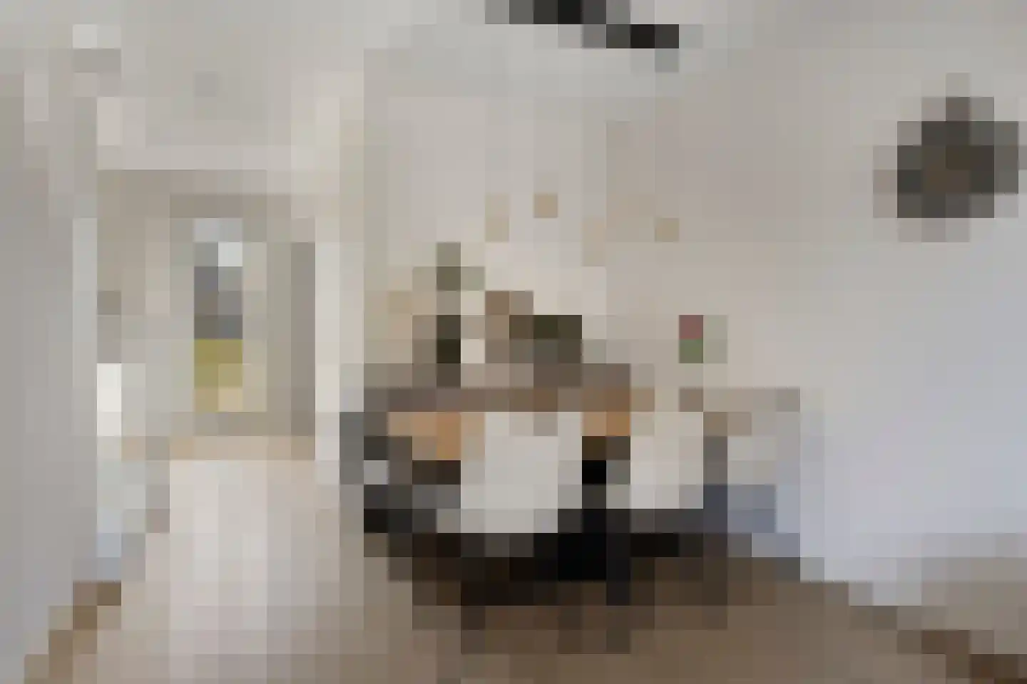 Cleijenakker 23 Veghel thumbnail 16