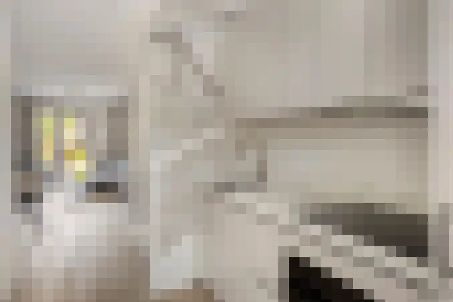 Cleijenakker 23 Veghel thumbnail 18