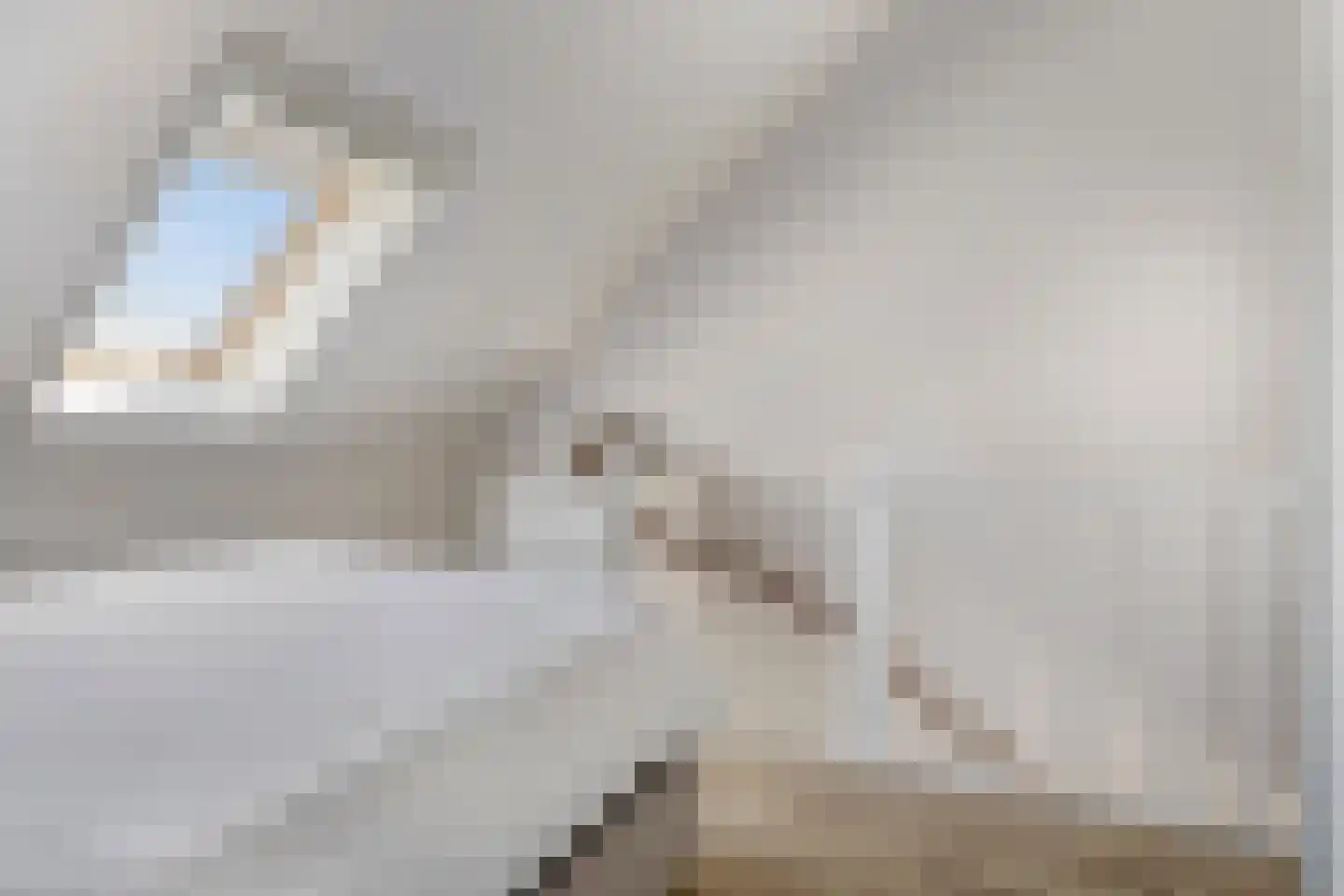 Cleijenakker 23 Veghel thumbnail 22