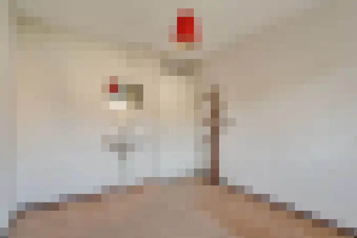 Clematishof 38 Borne thumbnail 22