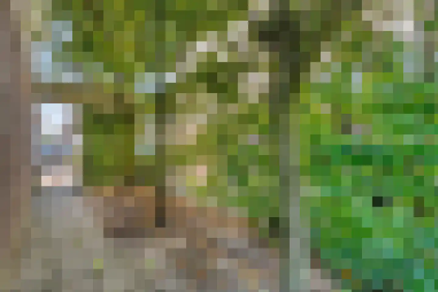 Clematishof 38 Borne thumbnail 29