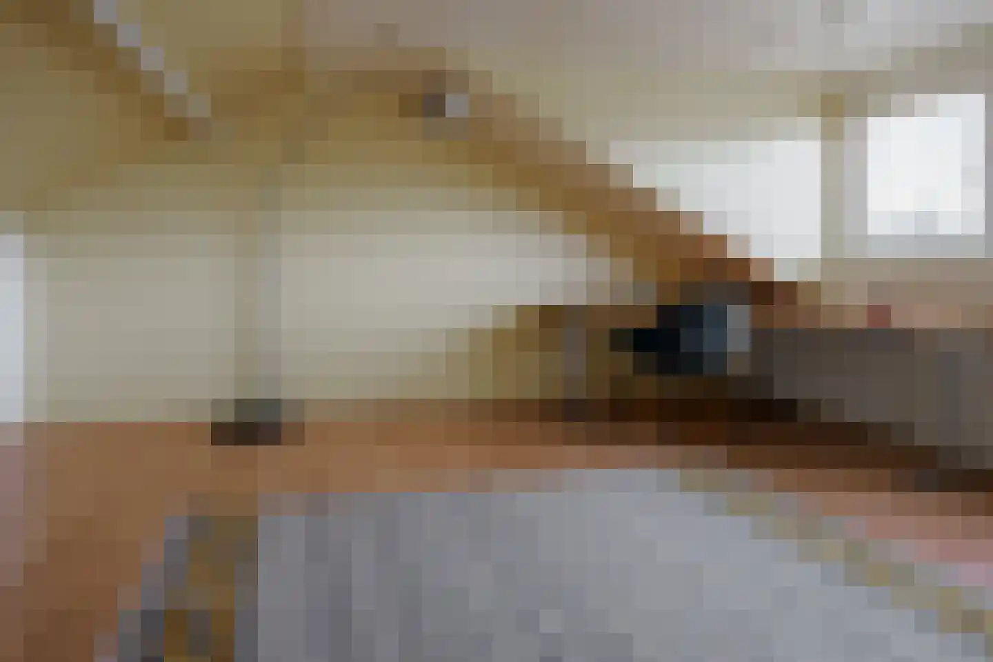 Clematishof 65 Borne thumbnail 21