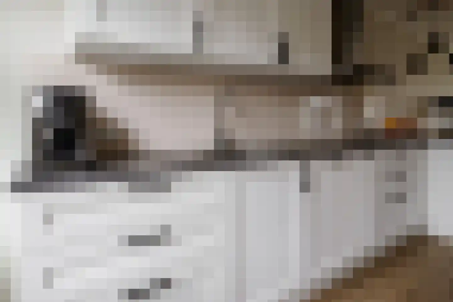 Clematishof 65 Borne thumbnail 8