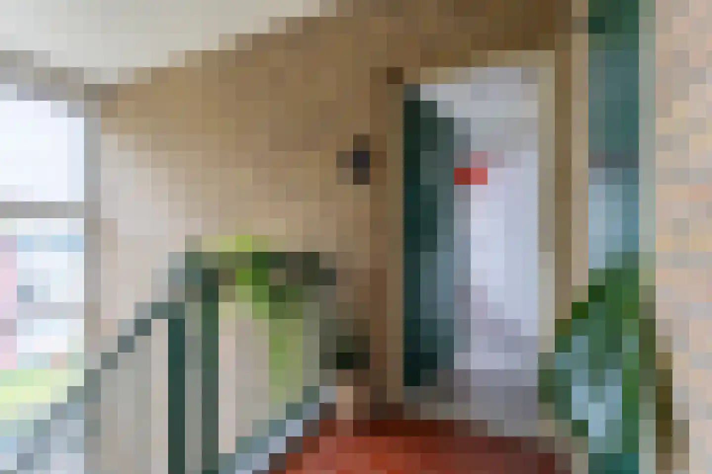 Clematislaan 12 Oegstgeest thumbnail 27