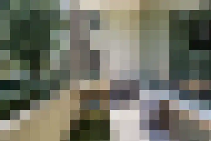 Clematislaan 14 Oegstgeest thumbnail 14