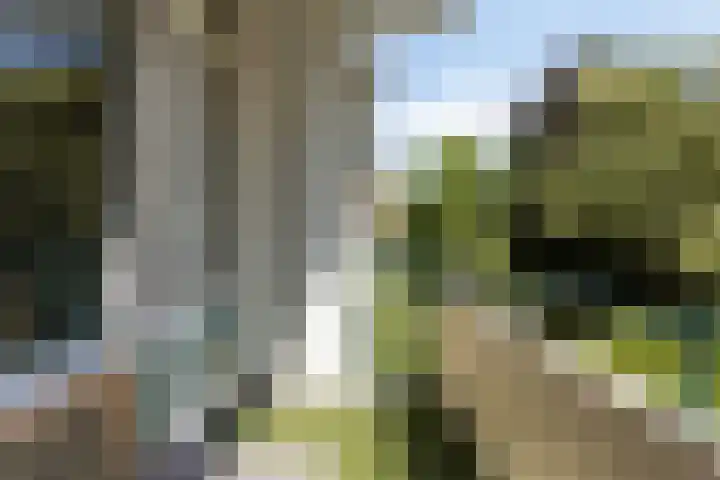 Clematislaan 14 Oegstgeest thumbnail 15