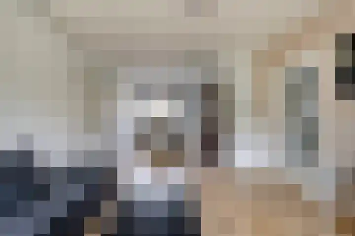 Clematislaan 14 Oegstgeest thumbnail 16