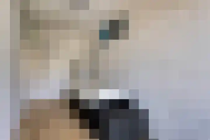 Clematislaan 14 Oegstgeest thumbnail 18