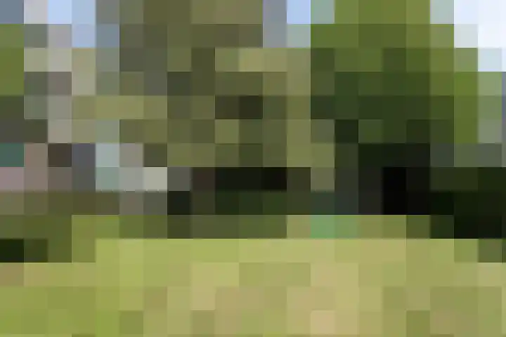 Clematislaan 14 Oegstgeest thumbnail 26