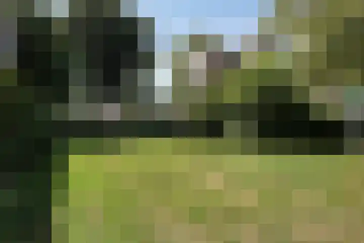 Clematislaan 14 Oegstgeest thumbnail 27