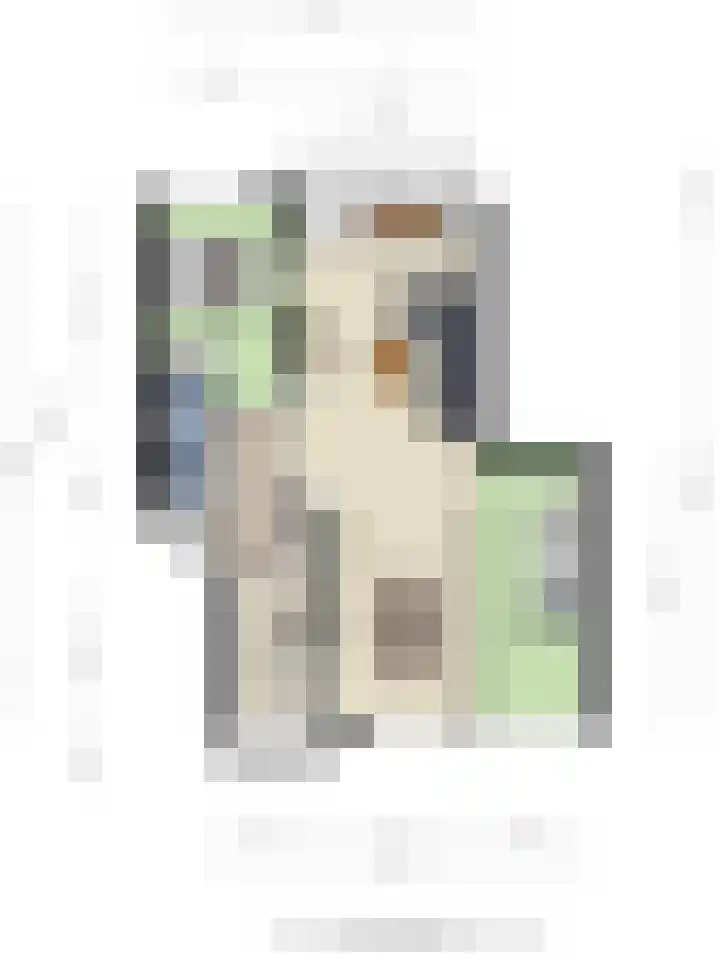 Clematislaan 14 Oegstgeest thumbnail 33