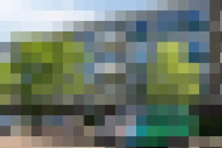 Clematislaan 14 Oegstgeest thumbnail 4