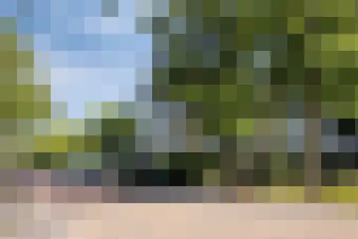 Clematislaan 14 Oegstgeest thumbnail 5