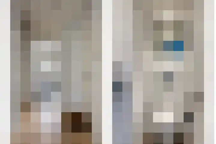 Clematislaan 14 Oegstgeest thumbnail 7