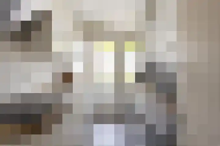 Clematislaan 14 Oegstgeest thumbnail 8