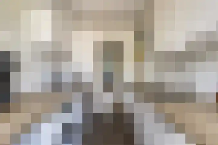 Clematislaan 14 Oegstgeest thumbnail 9