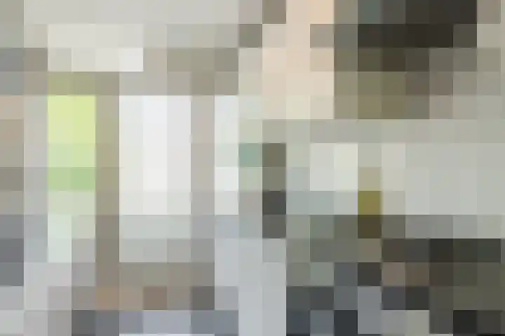 Clematislaan 20 Oegstgeest thumbnail 16