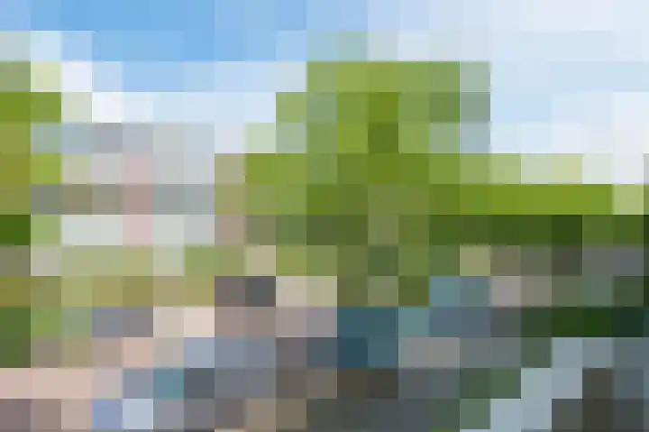 Clematislaan 20 Oegstgeest thumbnail 28