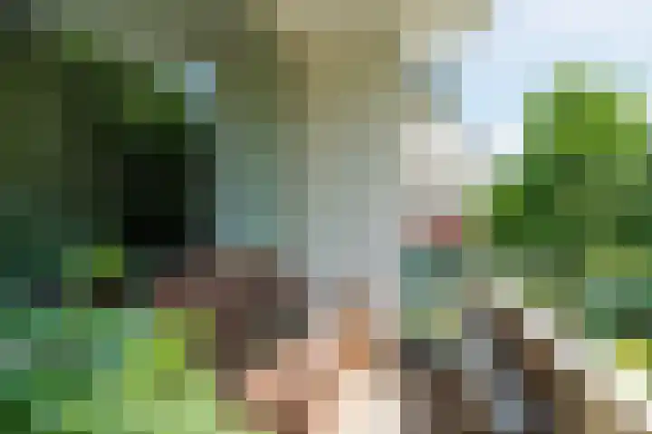 Clematislaan 20 Oegstgeest thumbnail 29