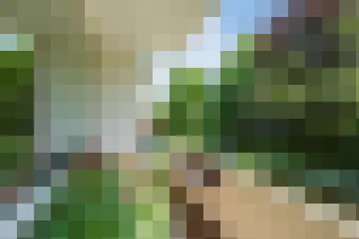 Clematislaan 20 Oegstgeest thumbnail 30