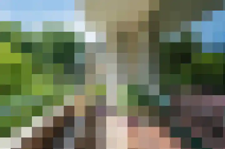 Clematislaan 20 Oegstgeest thumbnail 31