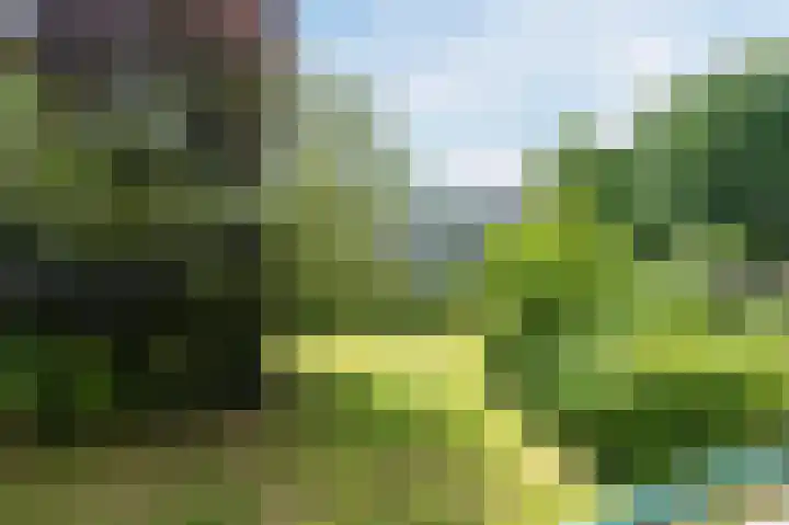 Clematislaan 20 Oegstgeest thumbnail 32