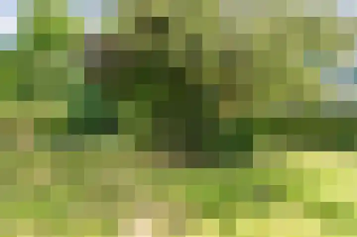 Clematislaan 20 Oegstgeest thumbnail 36