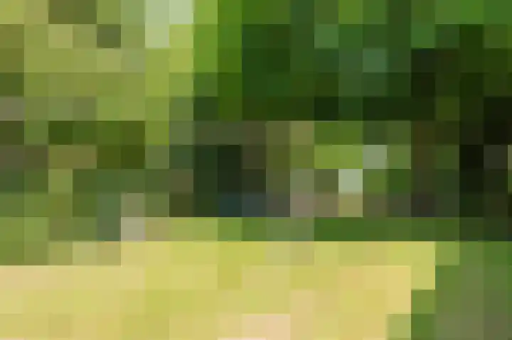 Clematislaan 20 Oegstgeest thumbnail 37