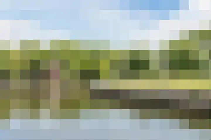 Clematislaan 20 Oegstgeest thumbnail 38