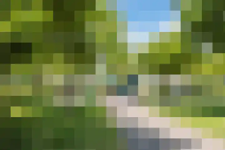 Clematislaan 20 Oegstgeest thumbnail 39