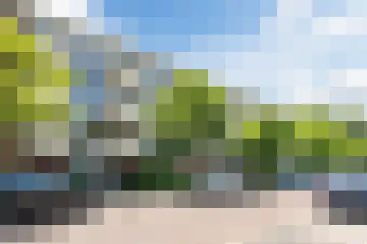 Clematislaan 20 Oegstgeest thumbnail 5