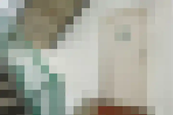 Clematislaan 20 Oegstgeest thumbnail 8
