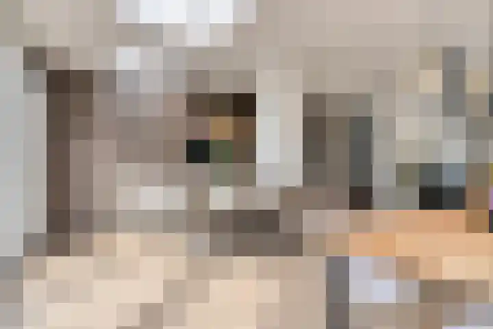 Clematislaan 28 Waalre thumbnail 14