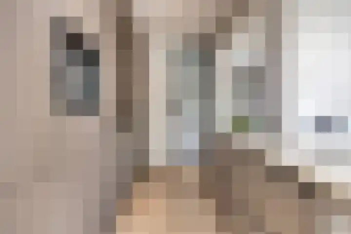 Clematislaan 28 Waalre thumbnail 17
