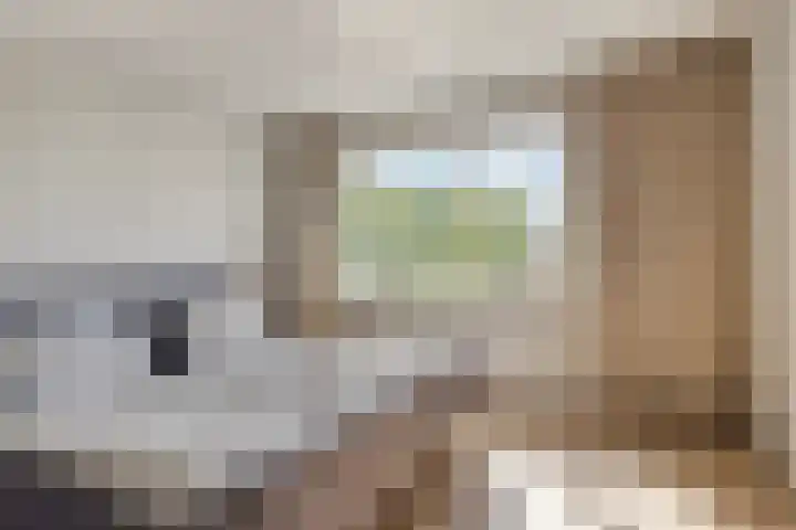 Clematislaan 28 Waalre thumbnail 21