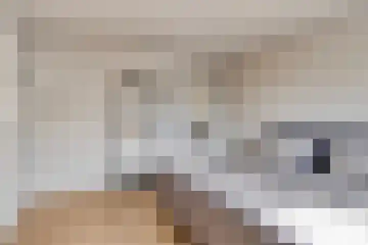Clematislaan 28 Waalre thumbnail 22