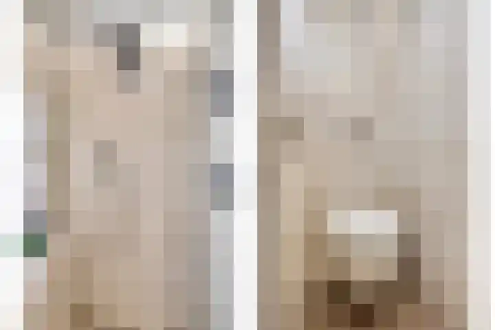 Clematislaan 28 Waalre thumbnail 24