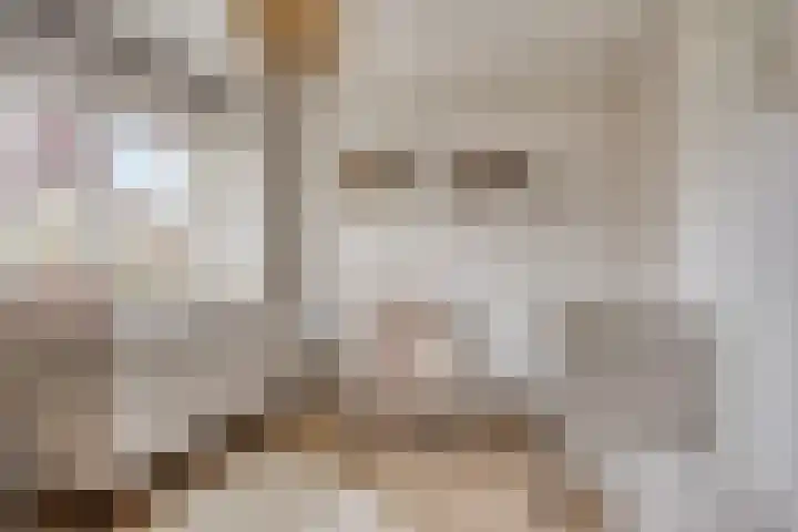 Clematislaan 28 Waalre thumbnail 25