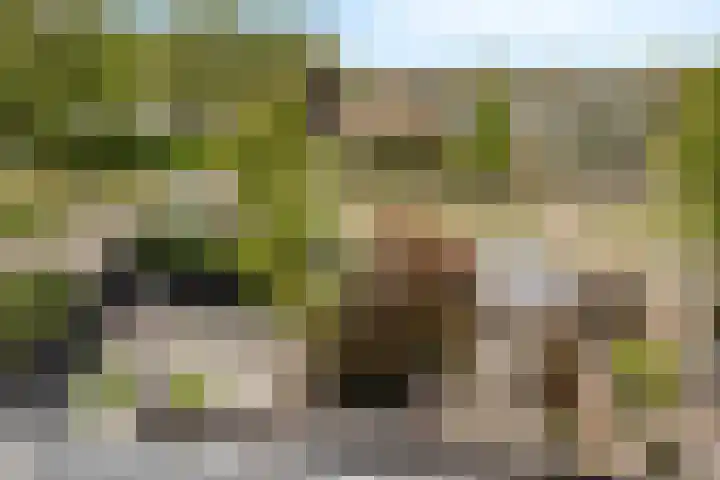 Clematislaan 28 Waalre thumbnail 32