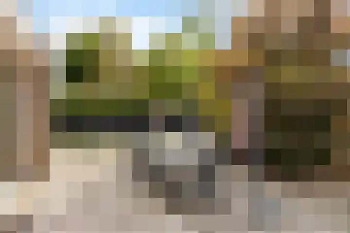Clematislaan 28 Waalre thumbnail 33