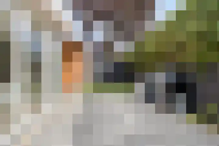 Clematislaan 28 Waalre thumbnail 35