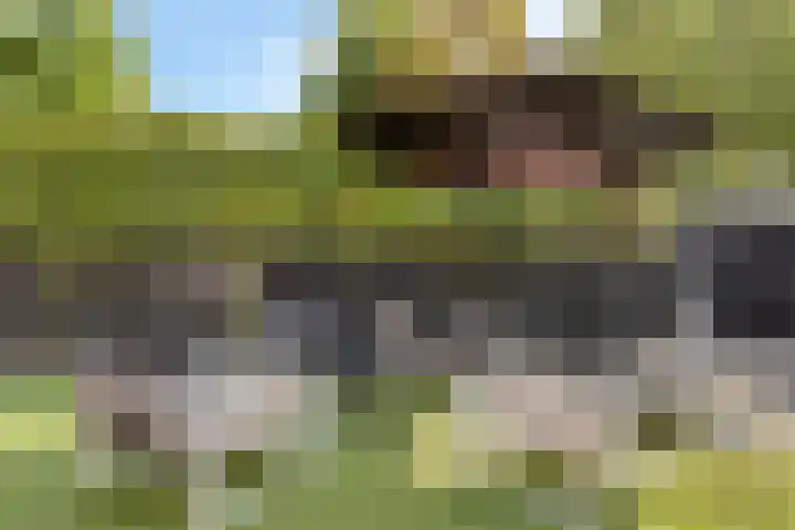 Clematislaan 28 Waalre thumbnail 37