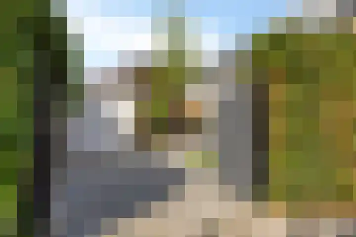Clematislaan 28 Waalre thumbnail 40