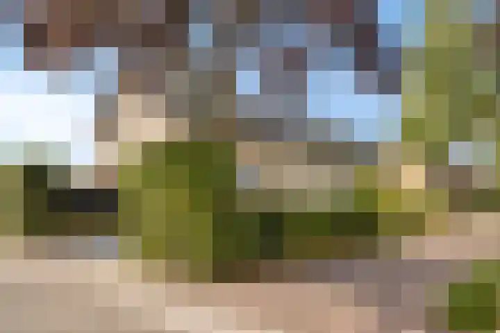 Clematislaan 28 Waalre thumbnail 41