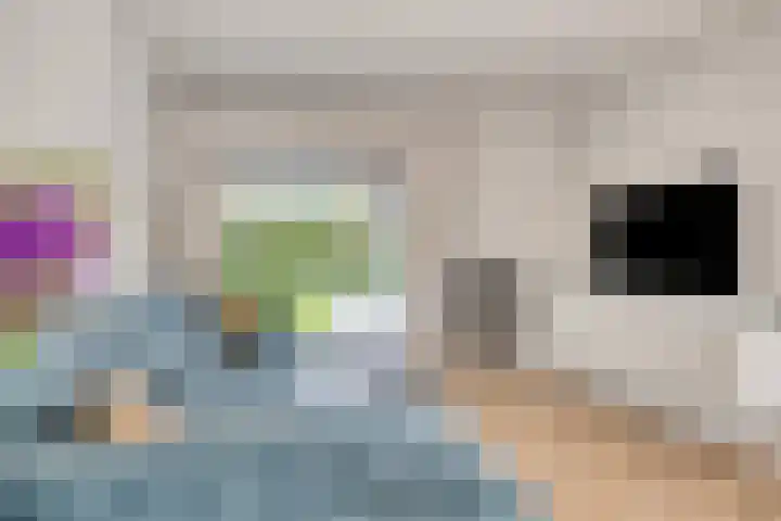 Clematislaan 28 Waalre thumbnail 6